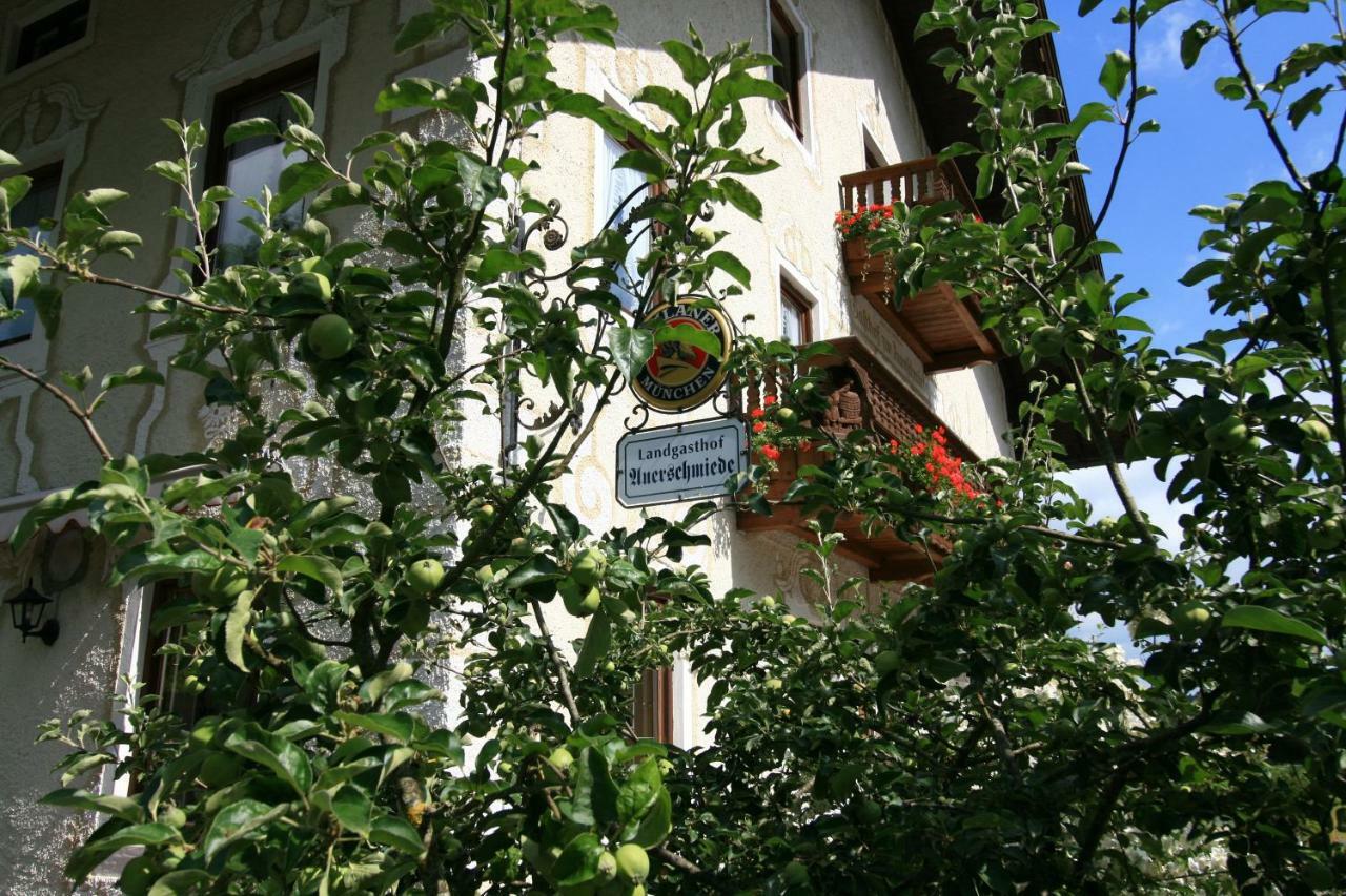 Landgasthof Auerschmiede 이르셴베르크 외부 사진